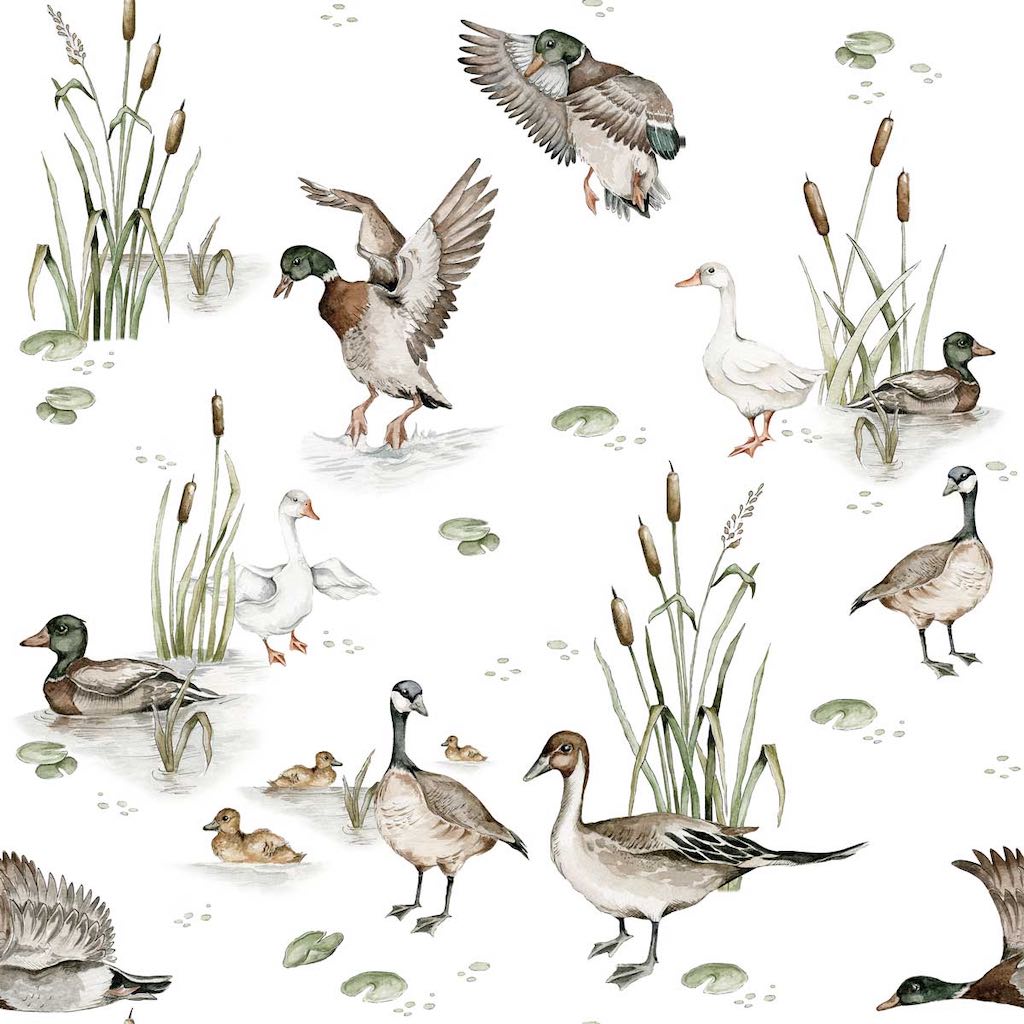 Dekornik Ducks Lake Wallpaper