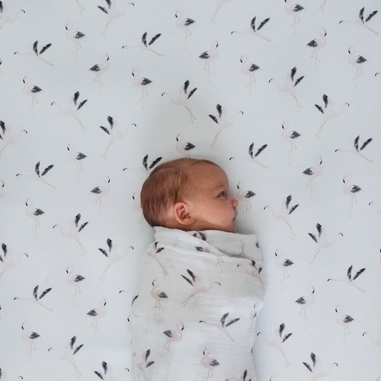 Mister Fly Flamingo Jersey Cot Sheet