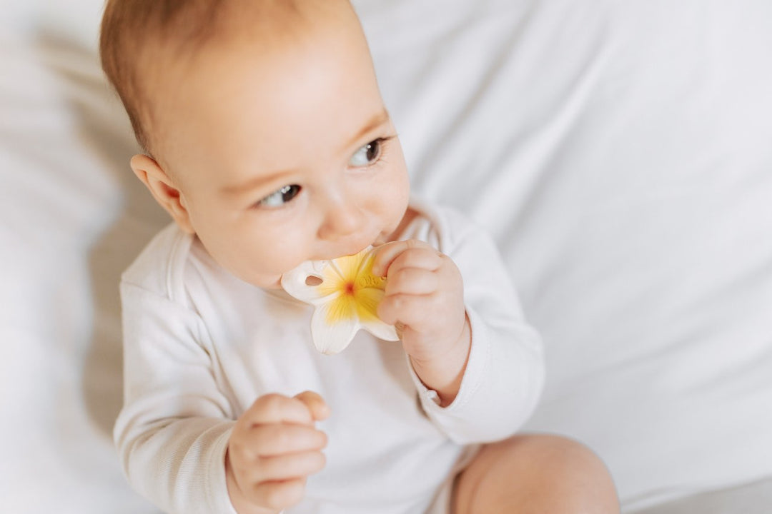 Baby chewing on Oli & Carol Hawaii The Flower Mini Teething Toy