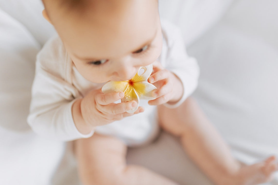 Baby chewing on the Oli & Carol Hawaii The Flower Mini Teething Toy