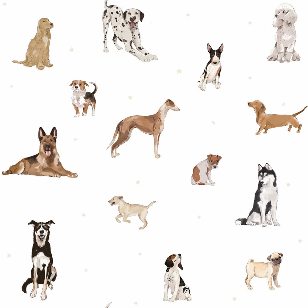 Dekornik Dogs Are The Best White Wallpaper