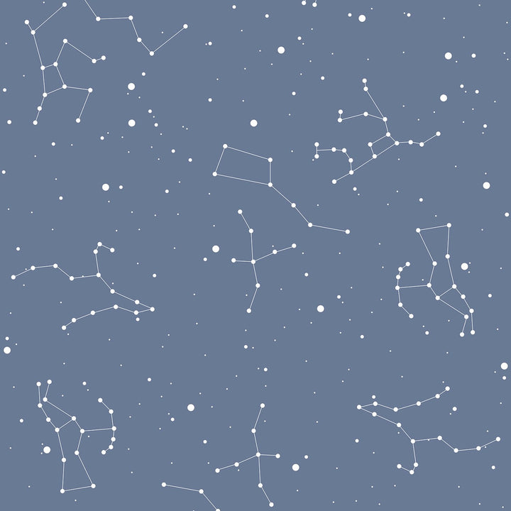 Dekornik SIMPLE Cosmos Blue Wallpaper Sample