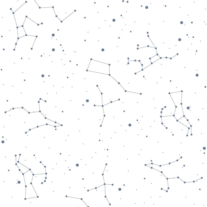 Dekornik SIMPLE Cosmos White & Blue Wallpaper Sample