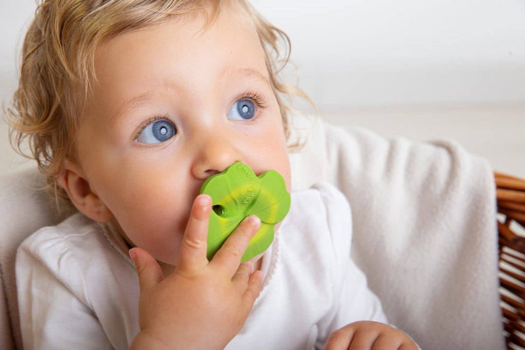 Baby with the Oli & Carol Eli The Clover Mini Teething Toy in mouth