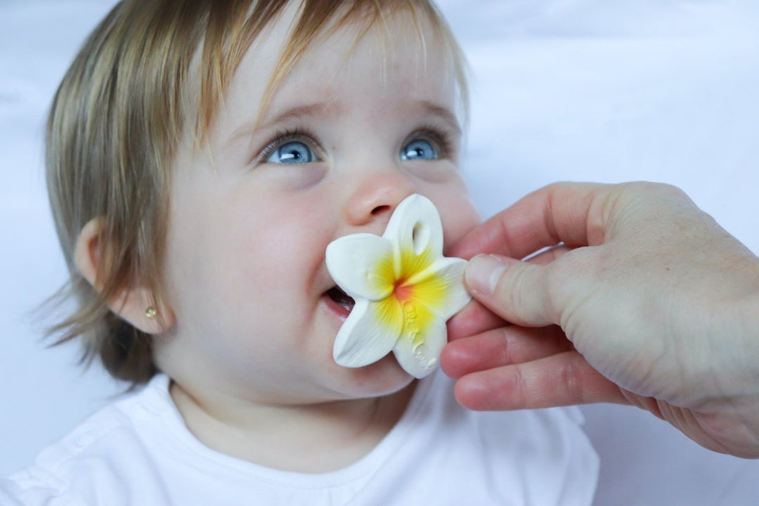 Mothers hand putting the Oli & Carol Hawaii The Flower Mini Teething Toy into baby's mouth