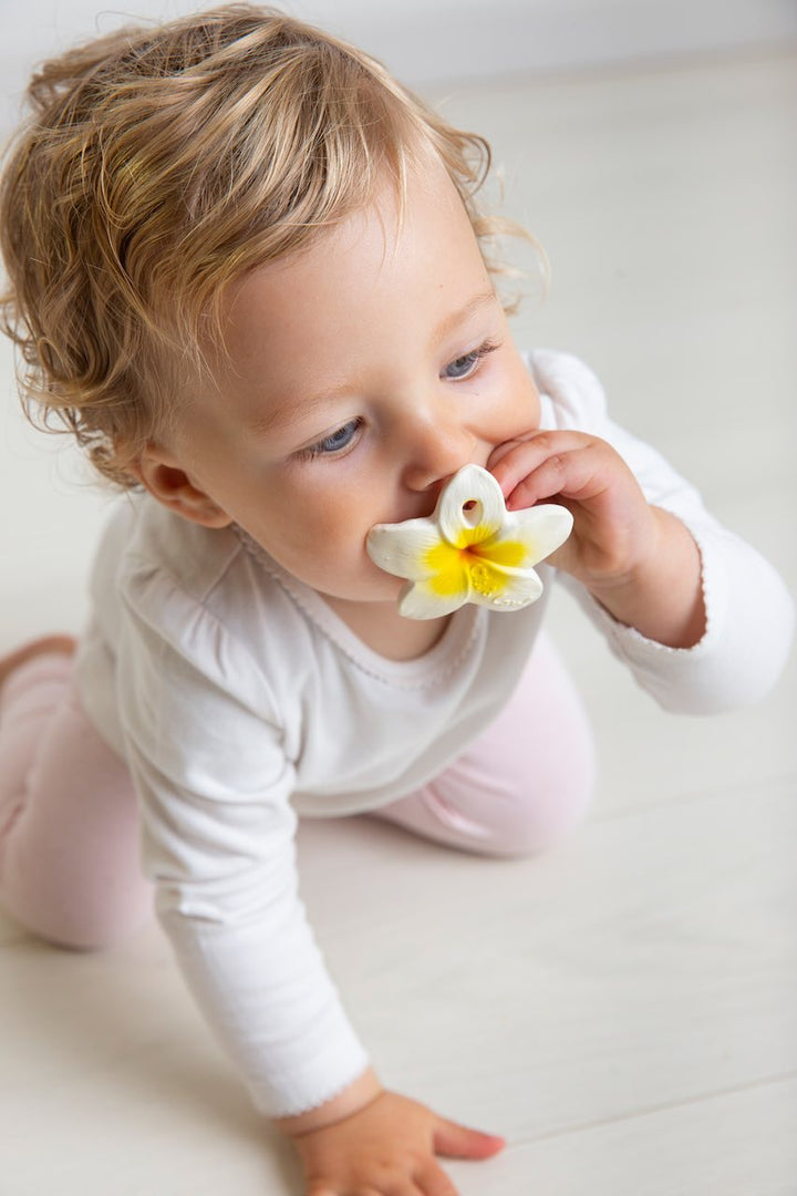 Oli & Carol Hawaii The Flower Mini Teething Toy in child's mouth
