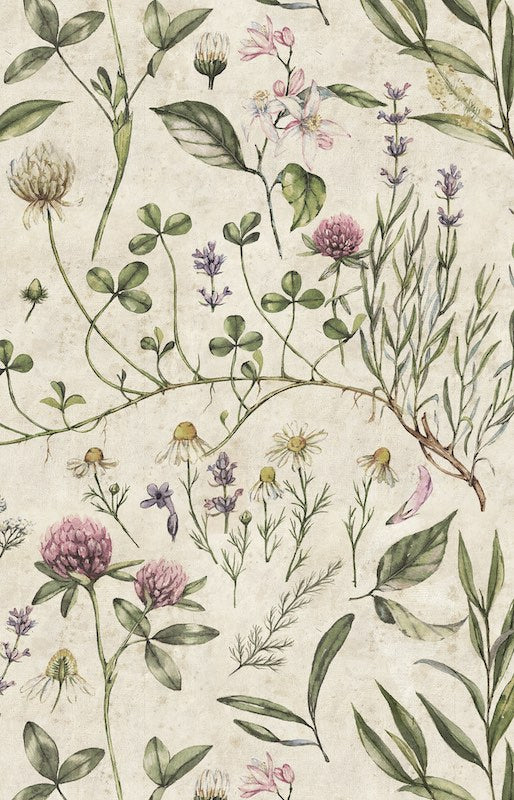 Dekornik Vintage Botanic Illustration Wallpaper