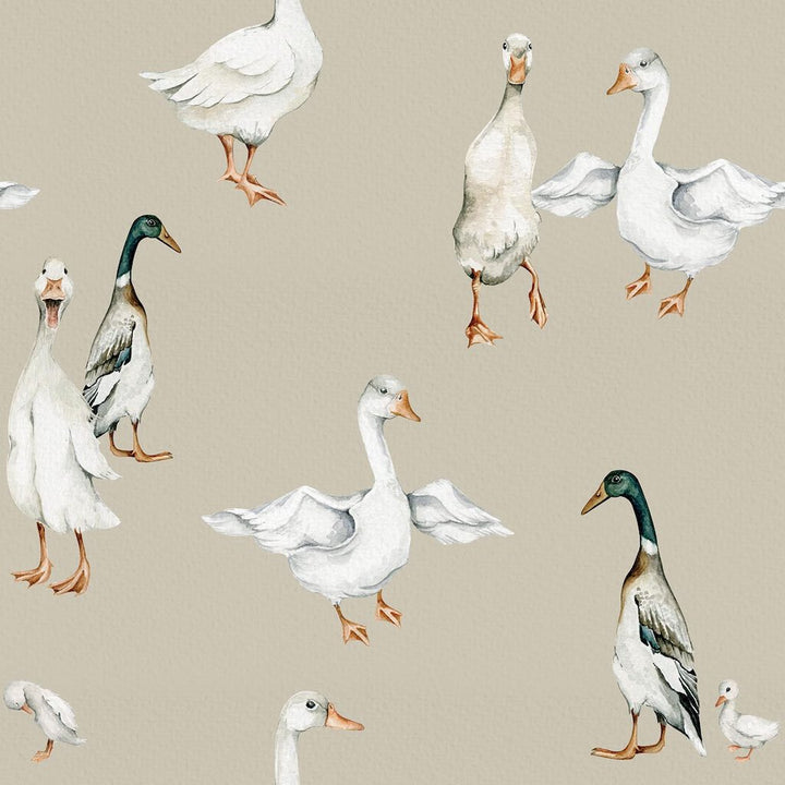Dekornik White Ducks Wallpaper
